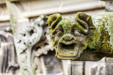 Gargoyle St. Jan's Katedrali, Den Bosch, Hollanda.