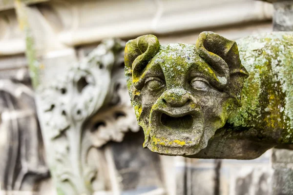 Gargoyle St. Jan's Katedrali, Den Bosch, Hollanda.