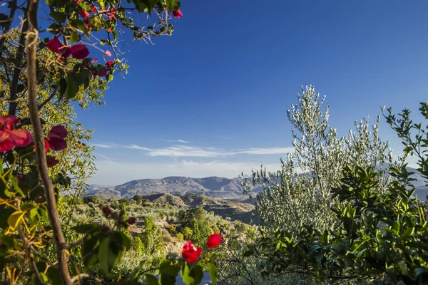 Alpujarra 산 보기 로열티 프리 스톡 이미지