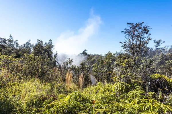 Ventilação a vapor vulcânica no Havaí — Fotografia de Stock