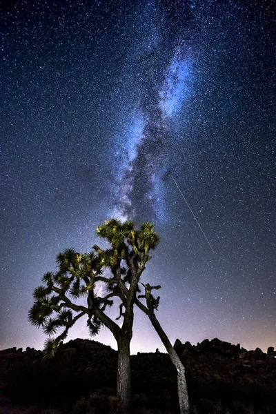 Vía Láctea en Joshua Tree — Foto de Stock