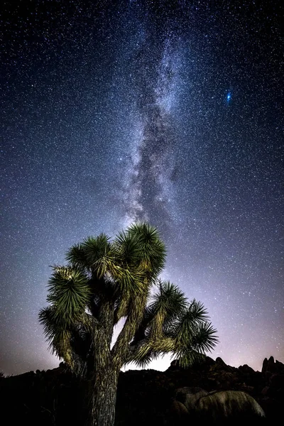 Vía Láctea en Joshua Tree — Foto de Stock