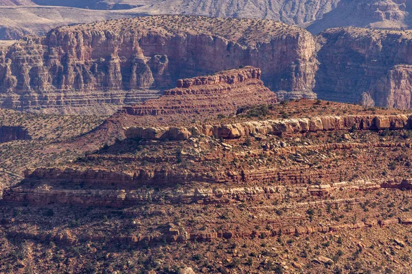 Close up of Grand Canyon Ledge — Stock fotografie