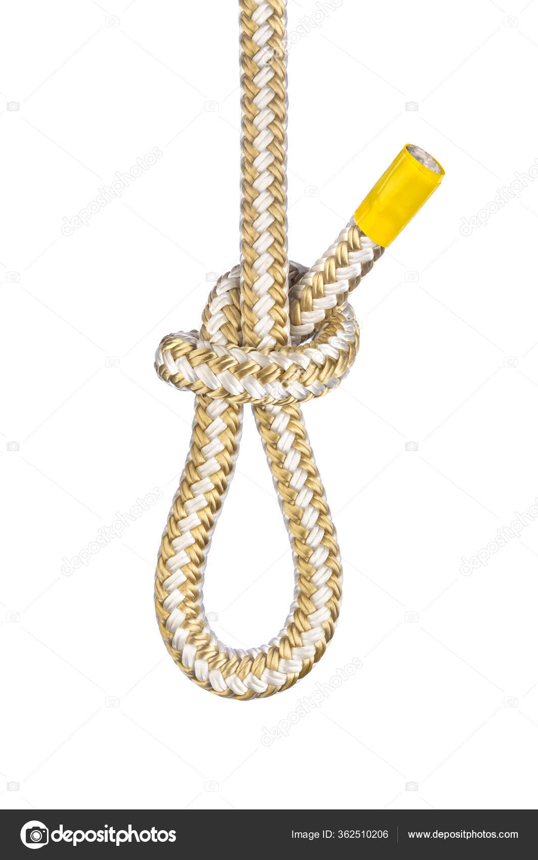 Noose Knot Simple Ancient Knot Use Form End Rope Loop — Stock