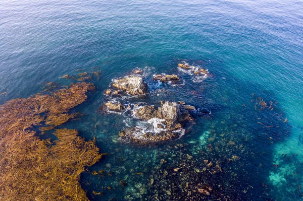 Flygdrönare Bild Berömda Seal Rocks Laguna Beach Favorit Dykplats Och — Stockfoto