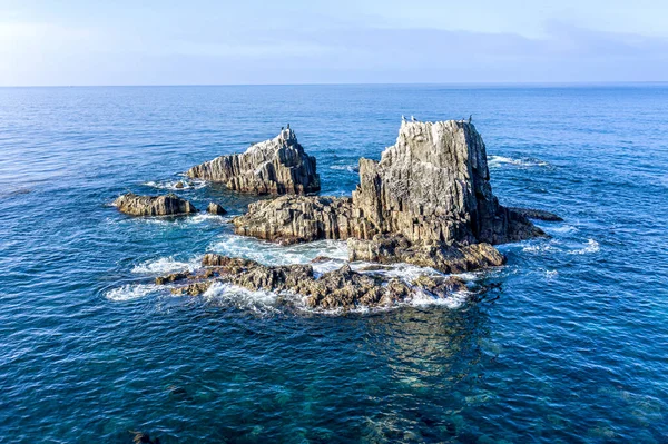 Immagine Aerea Drone Famose Seal Rocks Laguna Beach Sito Immersioni — Foto Stock