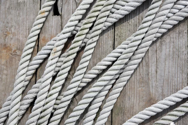 ウッドデッキのロープ — ストック写真