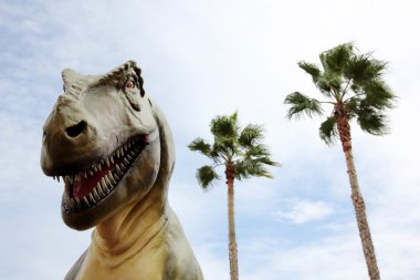 Tyrannosaurus rex dinozor kafası