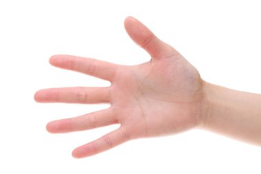 kadın el palm portre