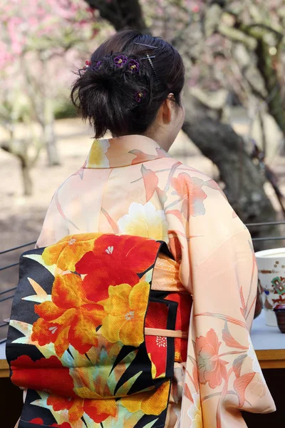 Japanese green tea ceremony — Stock Photo, Image