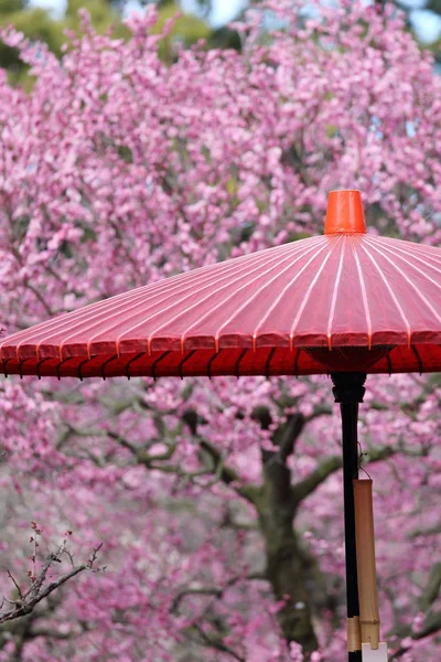 Tradiční japonský červený deštník — Stock fotografie