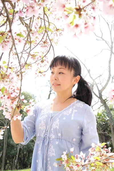 Donna giapponese con fiori di ciliegio — Foto Stock