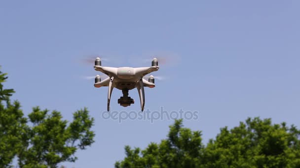 Drone volant avec ciel bleu clair avec arbre — Video