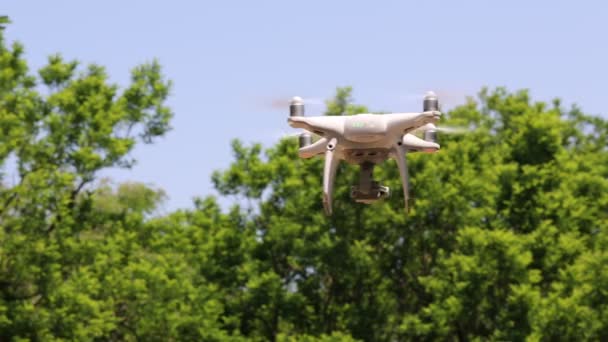 Dronen flyr med klar, blå himmel med tre – stockvideo