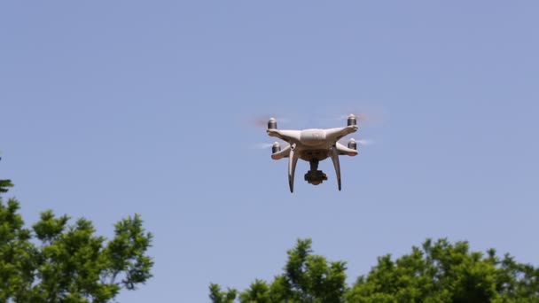 Drone terbang dengan langit biru jelas dengan pohon — Stok Video