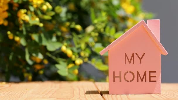 Modelo miniatura de casa con flor — Vídeo de stock