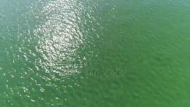 Drone volant belle surface d'eau de mer — Video