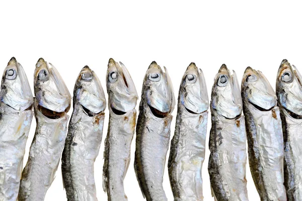 Сушать японці дрібних риб, washoku — стокове фото