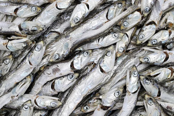 Dried small fish — Stock Photo, Image