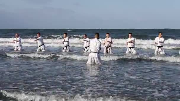 Kagawa Japán Jan Japán Karate Harcművészeti Képzés Karate Tél Közepén — Stock videók