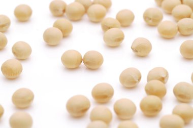 Beyaz arka planda Japon soya fasulyesi daizu 