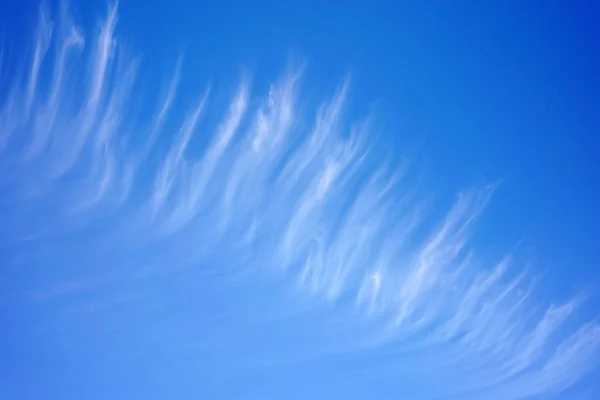 Vita Cirrusmoln Den Blå Himlen — Stockfoto