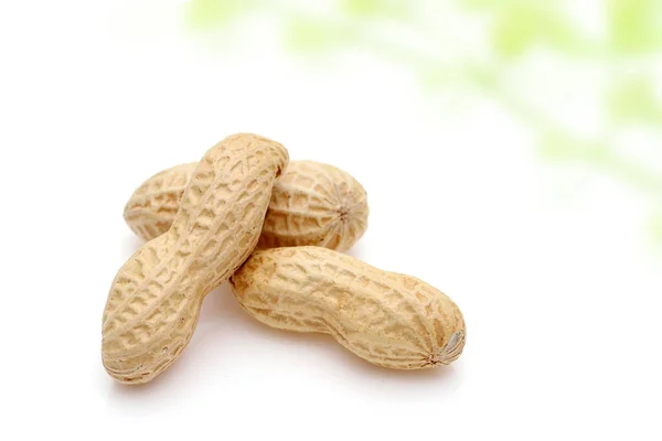 Peanuts Ungeschälte Nüsse Isoliert Auf Weißem Hintergrund — Stockfoto