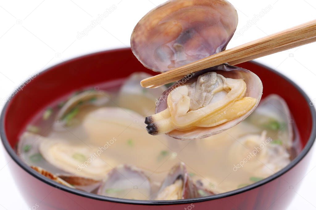 Japanese cuisine miso soup, asari clam held with chopstick isolated on white background  