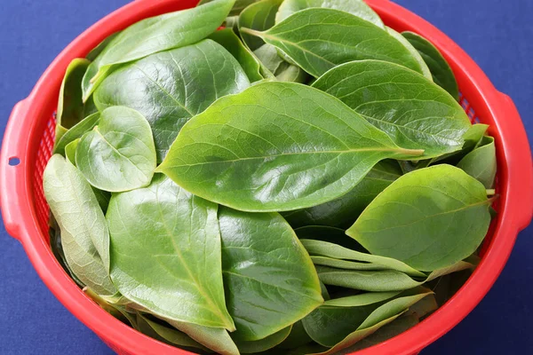 Foglie Cachi Erbe Medicinali Una Spada — Foto Stock