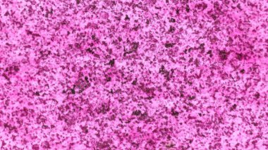 Soyut dijital resim dokusu. eklenti sanatı. Fraktal doku