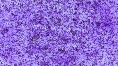 Soyut dijital resim dokusu. eklenti sanatı. Fraktal doku