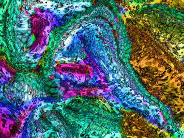 Soyut dijital resim dokusu. eklenti sanatı. Fraktal doku