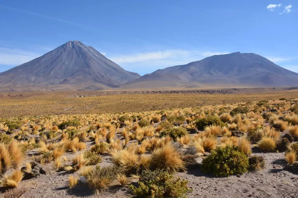 Táj a Chilei Atacama-sivatag — Stock Fotó