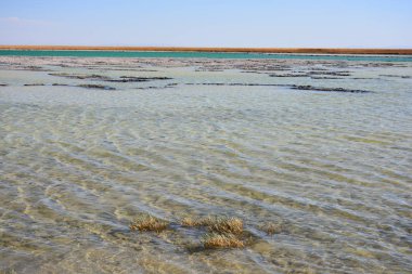 Peyzaj ve Şili'deki Atacama Çölü gölde tuz daireler