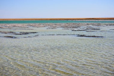 Peyzaj ve Şili'deki Atacama Çölü gölde tuz daireler