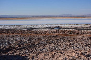 Peyzaj ve Şili'deki Atacama Çölü gölde tuz daireler