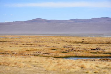 Peyzaj ve Şili'deki Atacama Çölü gölde tuz daireler