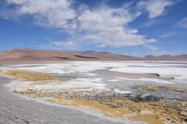Peyzaj ve Şili'deki Atacama Çölü gölde tuz daireler