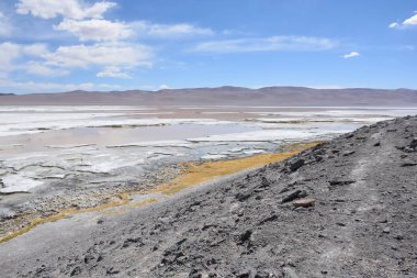 Peyzaj ve Şili'deki Atacama Çölü gölde tuz daireler