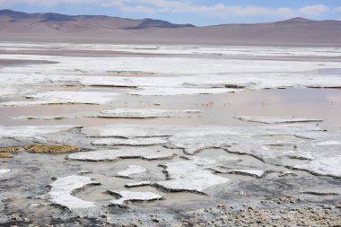 Peyzaj ve Şili'deki Atacama Çölü gölde tuz daireler