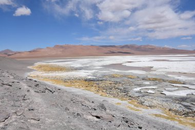 Peyzaj ve Şili'deki Atacama Çölü gölde tuz daireler