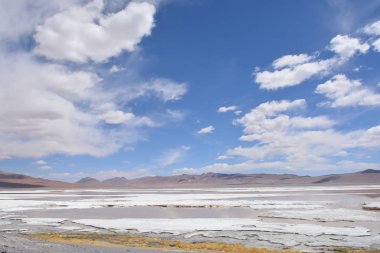 Peyzaj ve Şili'deki Atacama Çölü gölde tuz daireler