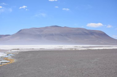 Peyzaj ve Şili'deki Atacama Çölü gölde tuz daireler
