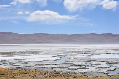 Peyzaj ve Şili'deki Atacama Çölü gölde tuz daireler