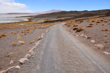 Manzara, dağlar, doğa ve bitki Atacama Çölü, Şili