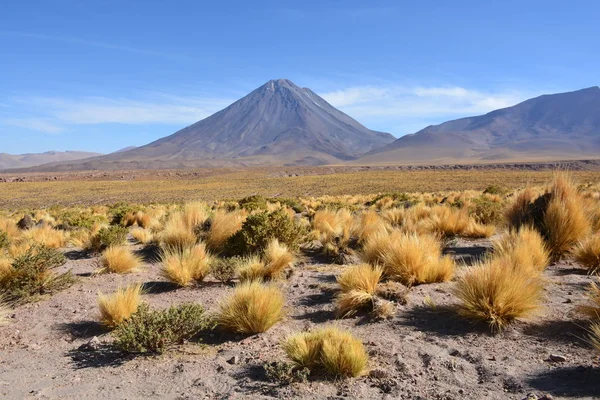 景观和盐沼湖在智利的阿塔卡马沙漠 — 图库照片