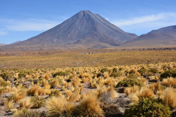 Landscape and salt flats lake at Atacama desert in Chile