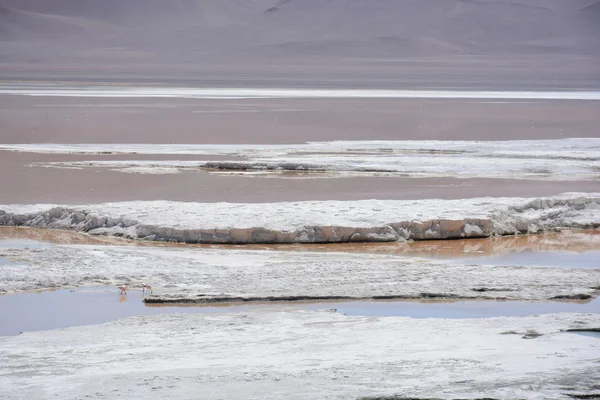 Landscape and salt flats lake at Atacama desert in Chile