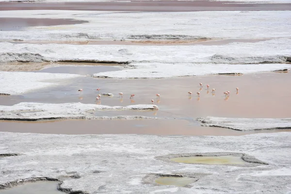 Landscape and salt flats lake at Atacama desert in Chile
