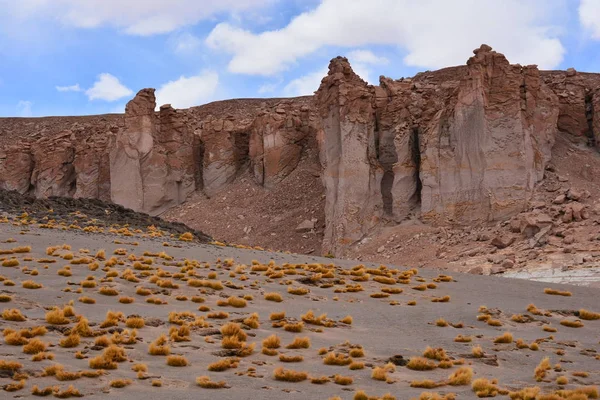 Paisaje, montaña, naturaleza y plantas en Atacama, Chile — Foto de Stock
